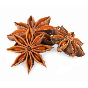 Star Anise (Badian Ka Phool)